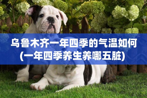 烏魯木齊一年四季的氣溫如何(一年四季養生養哪五臟) 