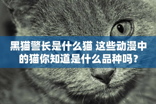 黑貓警長是什么貓 這些動漫中的貓你知道是什么品種嗎？