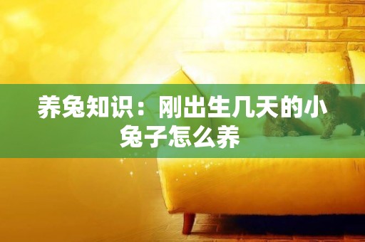 養兔知識：剛出生幾天的小兔子怎么養 