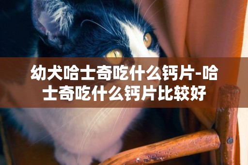 幼犬哈士奇吃什么鈣片-哈士奇吃什么鈣片比較好