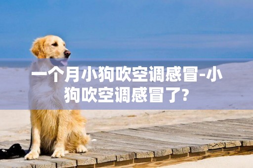 一個月小狗吹空調感冒-小狗吹空調感冒了?