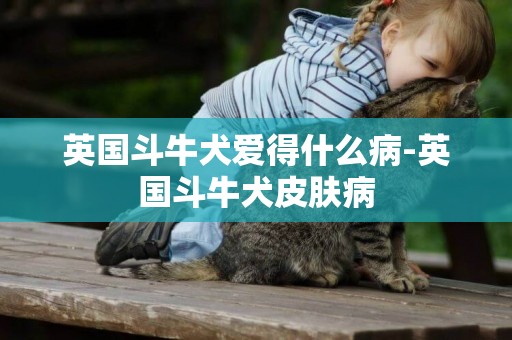 英國斗牛犬愛得什么病-英國斗牛犬皮膚病