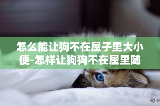 怎么能讓狗不在屋子里大小便-怎樣讓狗狗不在屋里隨便大小便
