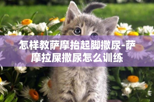 怎樣教薩摩抬起腳撒尿-薩摩拉屎撒尿怎么訓練