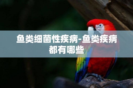 魚類細菌性疾病-魚類疾病都有哪些
