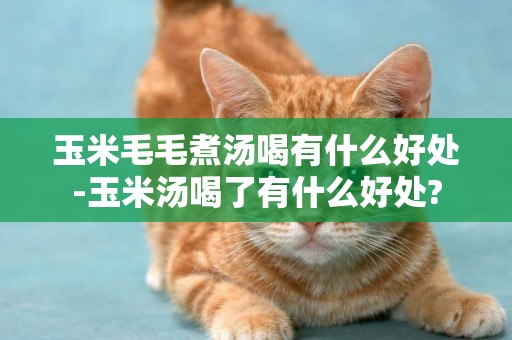 玉米毛毛煮湯喝有什么好處-玉米湯喝了有什么好處?
