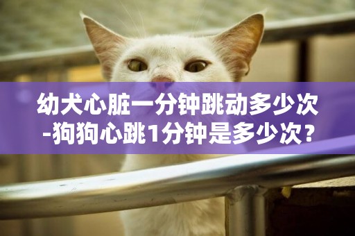 幼犬心臟一分鐘跳動多少次-狗狗心跳1分鐘是多少次？