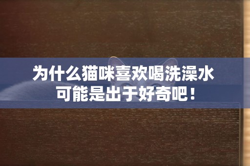 為什么貓咪喜歡喝洗澡水 可能是出于好奇吧！