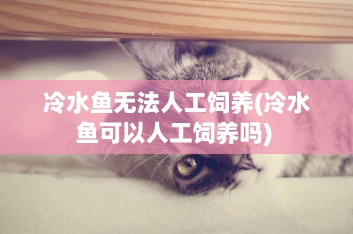 冷水魚無法人工飼養(冷水魚可以人工飼養嗎) 