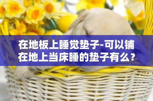 在地板上睡覺墊子-可以鋪在地上當床睡的墊子有么？叫什么？