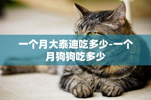 一個月大泰迪吃多少-一個月狗狗吃多少