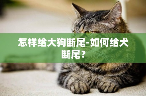 怎樣給大狗斷尾-如何給犬斷尾？
