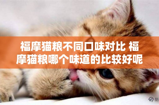 福摩貓糧不同口味對比 福摩貓糧哪個味道的比較好呢？