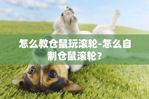 怎么教倉鼠玩滾輪-怎么自制倉鼠滾輪？