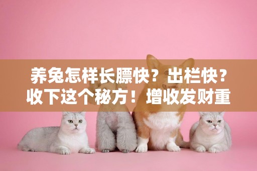 養兔怎樣長膘快？出欄快？收下這個秘方！增收發財重點一次說清 