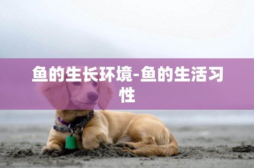 魚的生長環境-魚的生活習性
