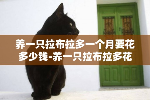 養一只拉布拉多一個月要花多少錢-養一只拉布拉多花費多少呢