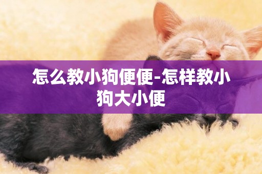 怎么教小狗便便-怎樣教小狗大小便
