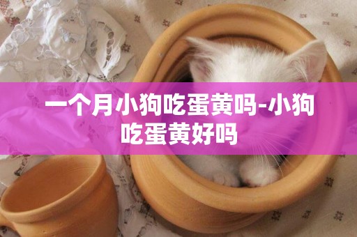 一個月小狗吃蛋黃嗎-小狗吃蛋黃好嗎