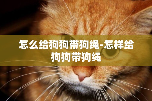 怎么給狗狗帶狗繩-怎樣給狗狗帶狗繩