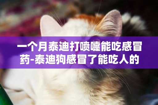一個月泰迪打噴嚏能吃感冒藥-泰迪狗感冒了能吃人的感冒藥嗎