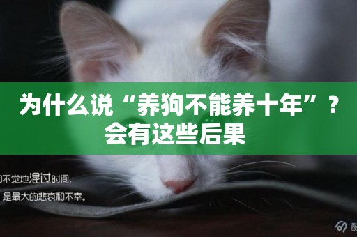 為什么說“養狗不能養十年”？會有這些后果 