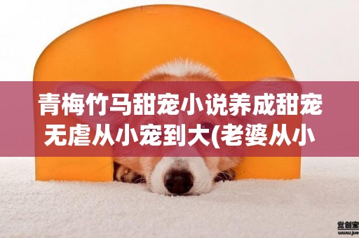 青梅竹馬甜寵小說養成甜寵無虐從小寵到大(老婆從小養成) 