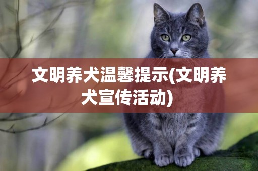 文明養犬溫馨提示(文明養犬宣傳活動) 