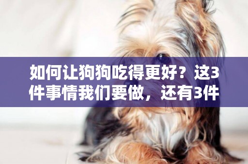 如何讓狗狗吃得更好？這3件事情我們要做，還有3件事不要做 