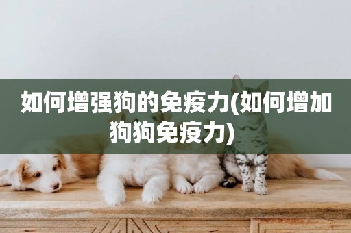 如何增強狗的免疫力(如何增加狗狗免疫力) 