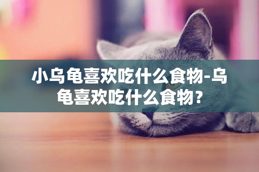 小烏龜喜歡吃什么食物-烏龜喜歡吃什么食物？