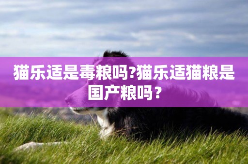 貓樂適是毒糧嗎?貓樂適貓糧是國產糧嗎？