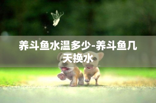 養斗魚水溫多少-養斗魚幾天換水