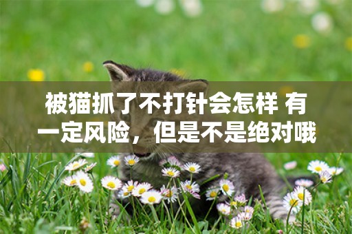 被貓抓了不打針會怎樣 有一定風險，但是不是絕對哦！