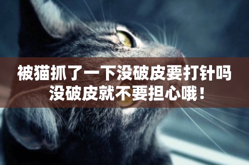 被貓抓了一下沒破皮要打針嗎 沒破皮就不要擔心哦！