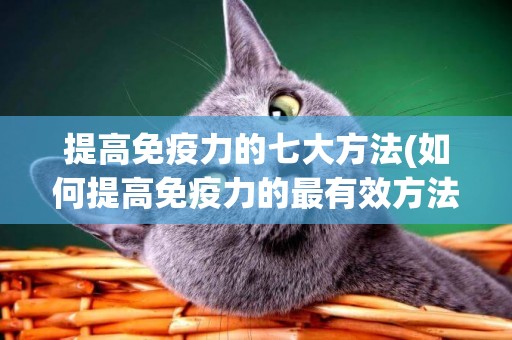 提高免疫力的七大方法(如何提高免疫力的最有效方法) 