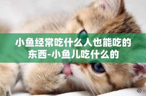 小魚經常吃什么人也能吃的東西-小魚兒吃什么的