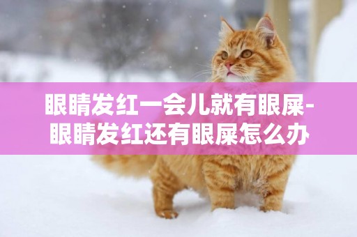 眼睛發紅一會兒就有眼屎-眼睛發紅還有眼屎怎么辦