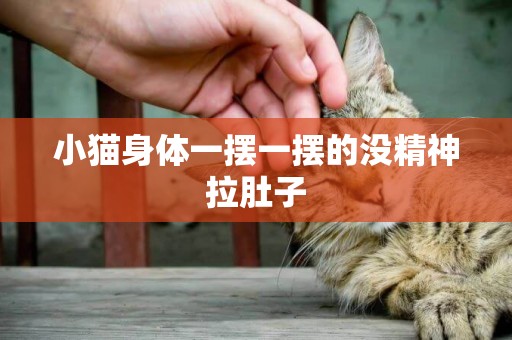 小貓身體一擺一擺的沒精神拉肚子