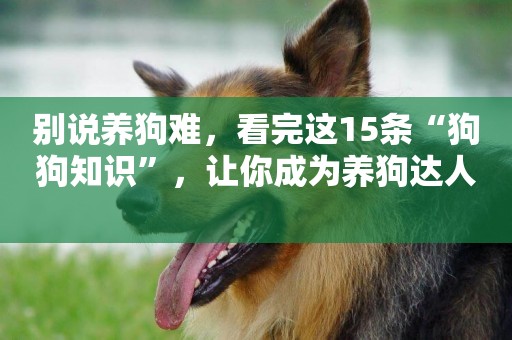 別說養狗難，看完這15條“狗狗知識”，讓你成為養狗達人 