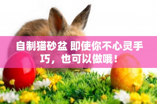 自制貓砂盆 即使你不心靈手巧，也可以做哦！