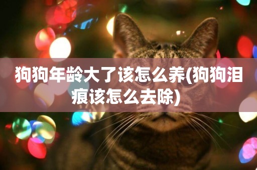 狗狗年齡大了該怎么養(狗狗淚痕該怎么去除) 