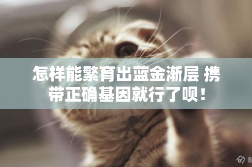 怎樣能繁育出藍金漸層 攜帶正確基因就行了唄！