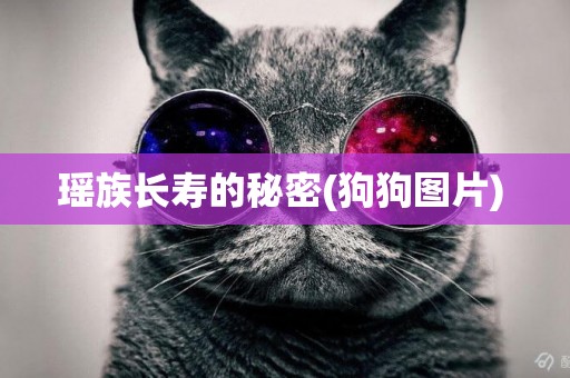 瑤族長壽的秘密(狗狗圖片) 