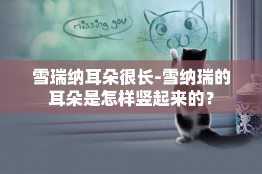 雪瑞納耳朵很長-雪納瑞的耳朵是怎樣豎起來的？