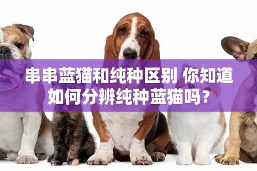 串串藍貓和純種區別 你知道如何分辨純種藍貓嗎？