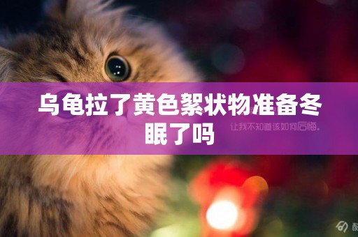 烏龜拉了黃色絮狀物準備冬眠了嗎