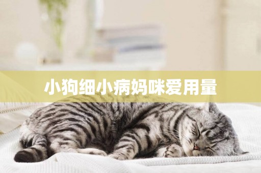 小狗細小病媽咪愛用量