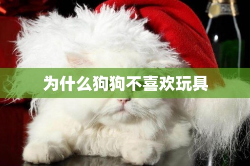 為什么狗狗不喜歡玩具