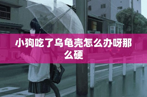 小狗吃了烏龜殼怎么辦呀那么硬